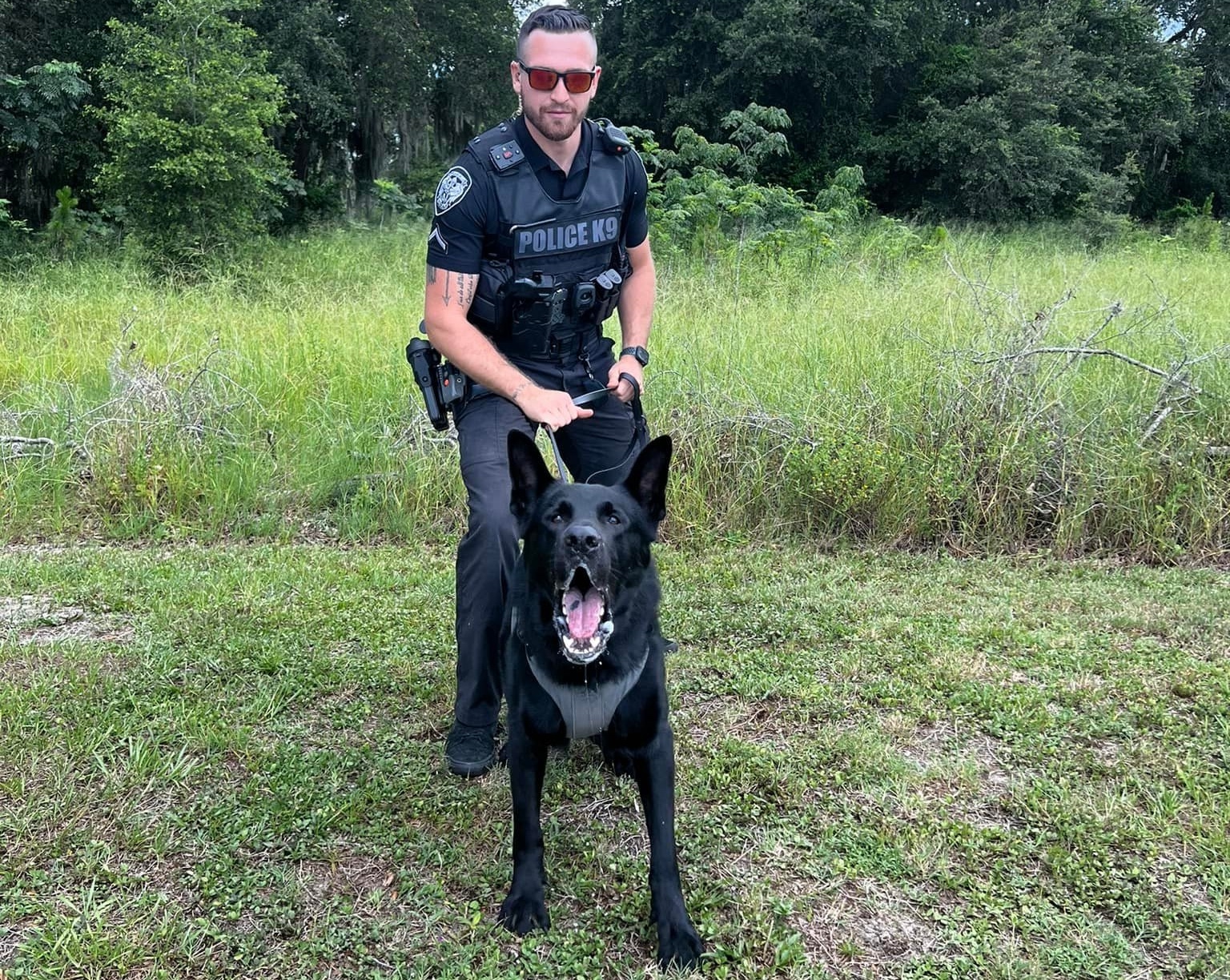 K9 Unit